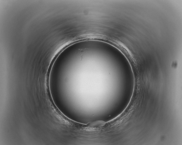 X0000096171182200801251143