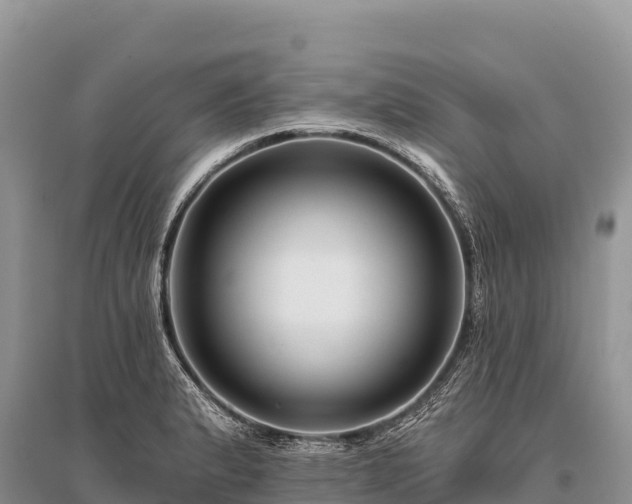 X0000096171183200801251143