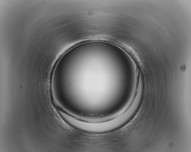 X0000096171184200801251143