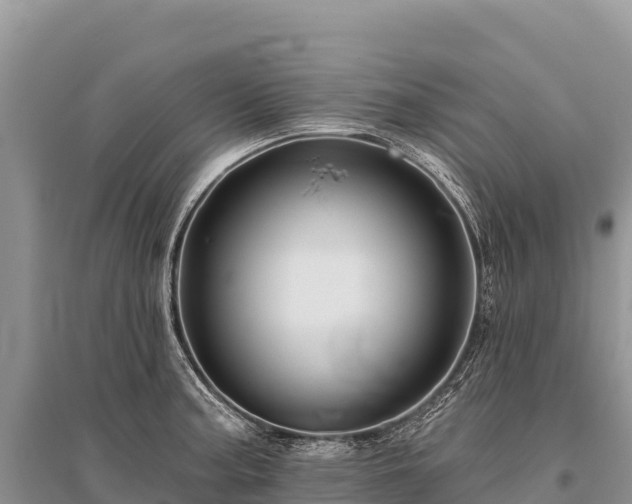 X0000096171187200801251143