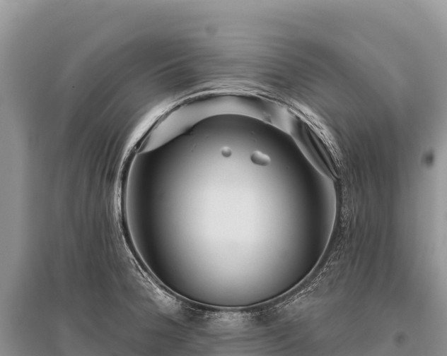 X0000096171188200801251143