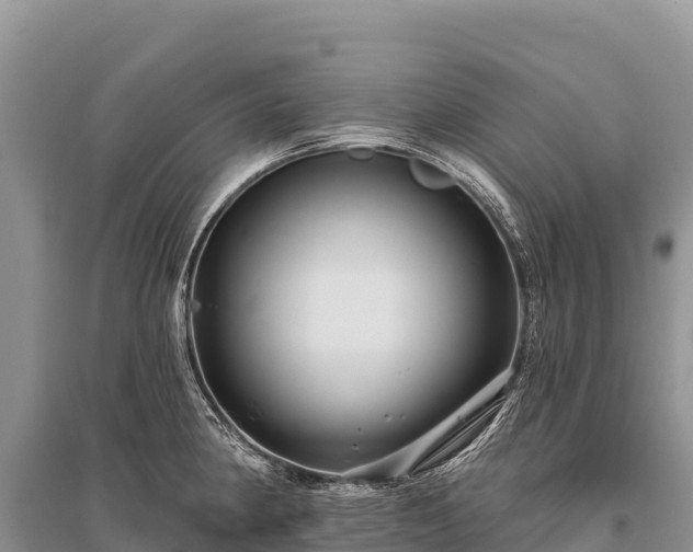 X0000096171190200801251143