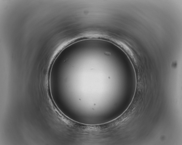 X0000096171191200801251143