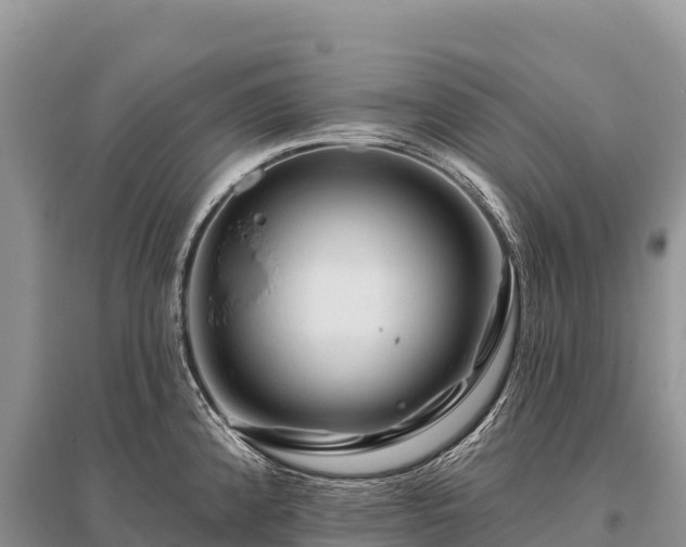 X0000096171192200801251143