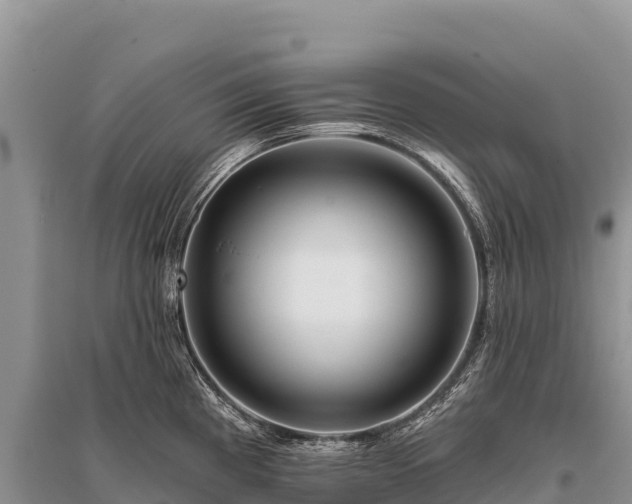 X0000096171193200801251143