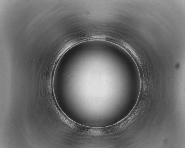 X0000096171194200801251143