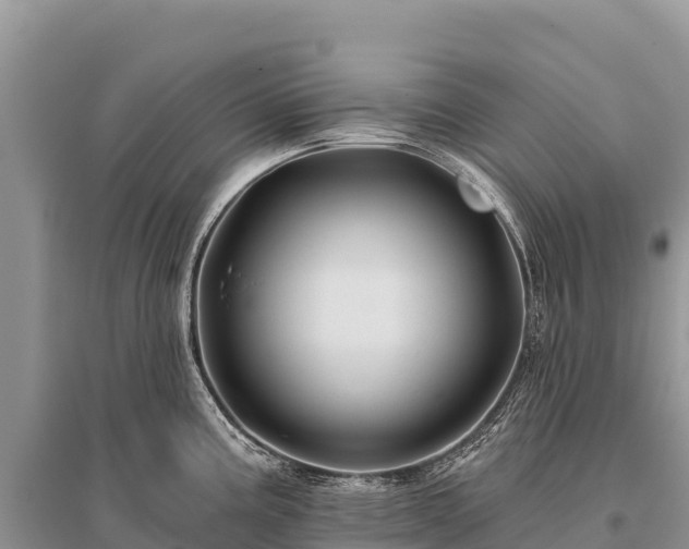 X0000096171195200801251143