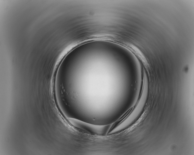 X0000096171196200801251143