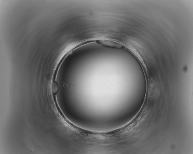 X0000096171197200801251143