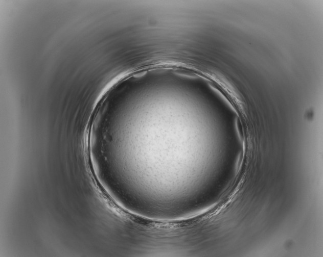 X0000096171198200801251143