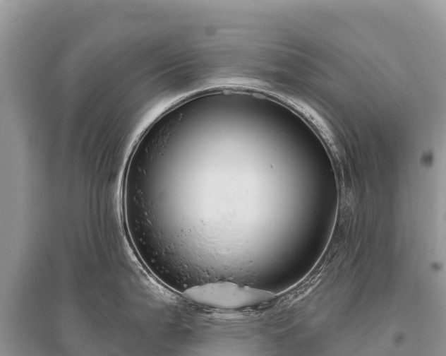 X0000096171199200801251143