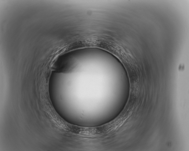 X0000096171201200801251142