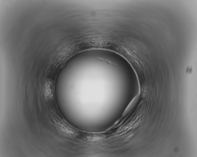 X0000096171202200801251142