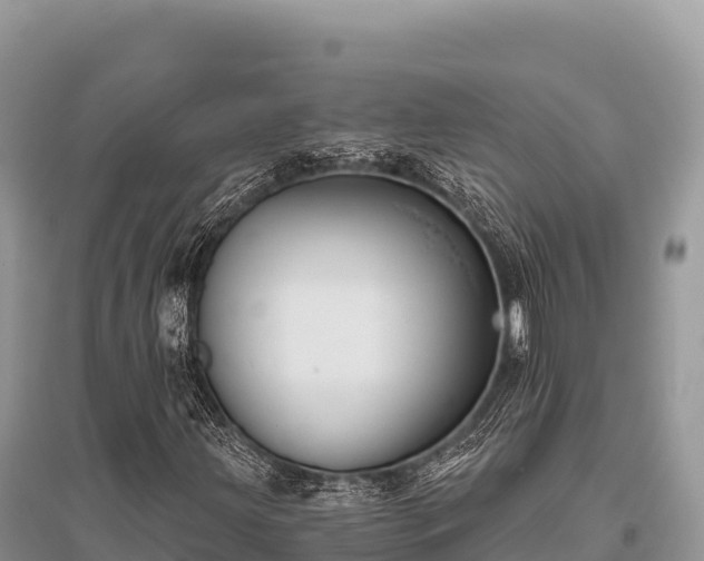 X0000096171203200801251142