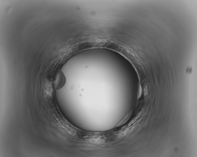 X0000096171204200801251142