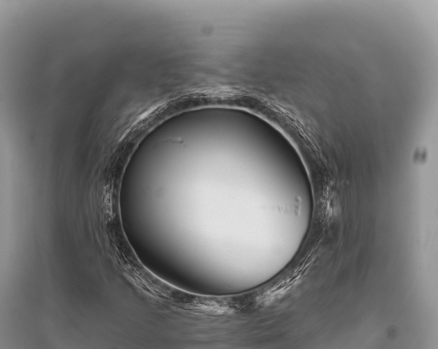 X0000096171205200801251142