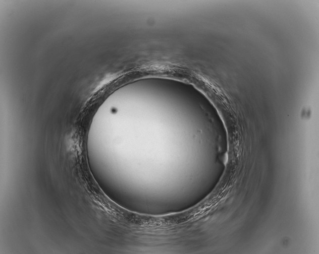 X0000096171206200801251142