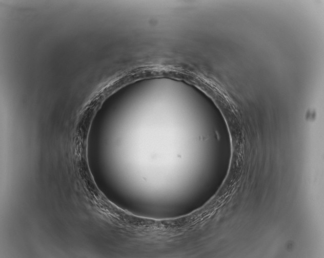 X0000096171207200801251142