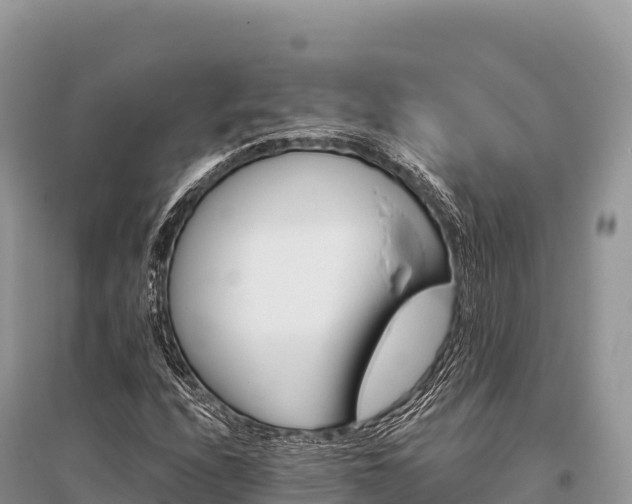 X0000096171208200801251142