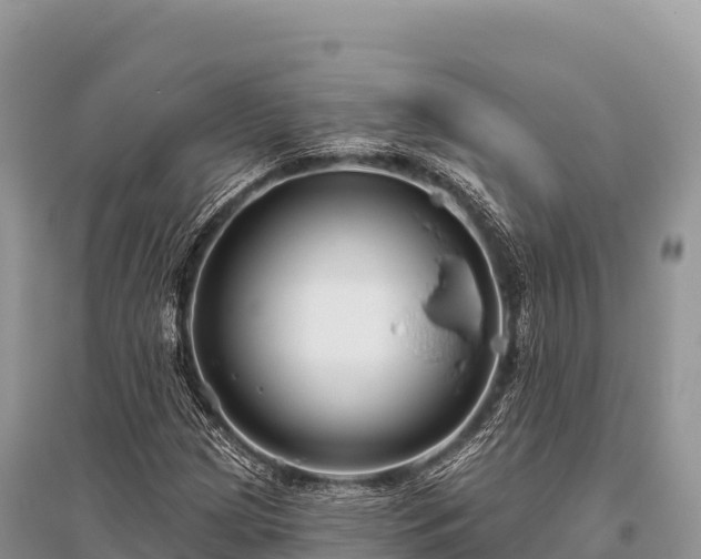 X0000096171209200801251142