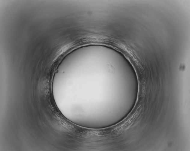 X0000096171211200801251142