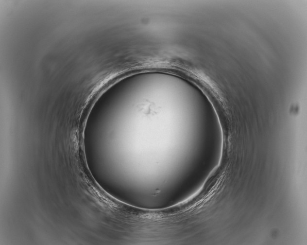 X0000096171212200801251142