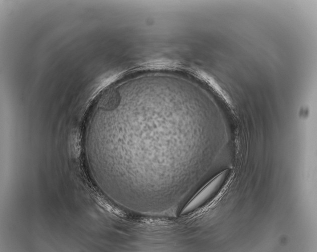 X0000096171213200801251143