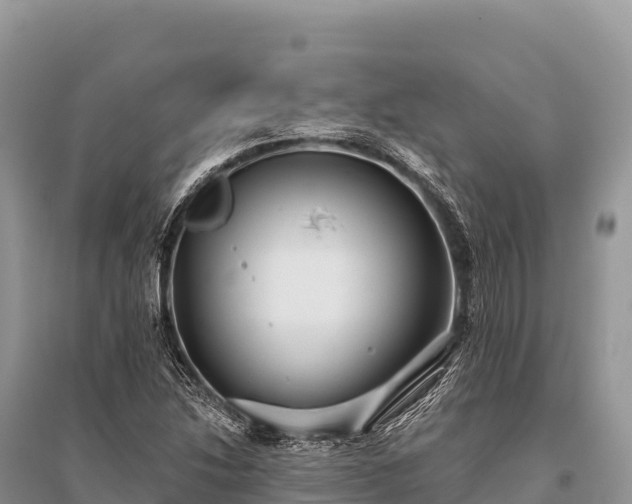 X0000096171214200801251143