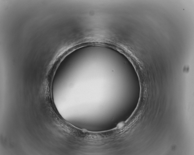 X0000096171215200801251143