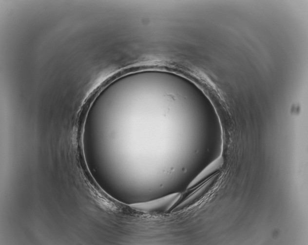 X0000096171216200801251143