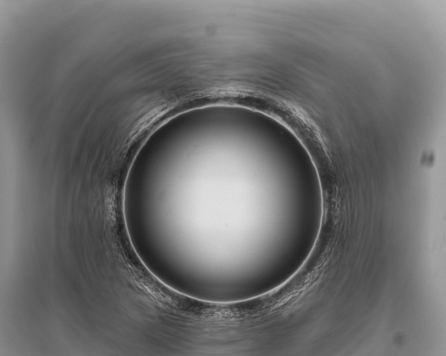 X0000096171217200801251143