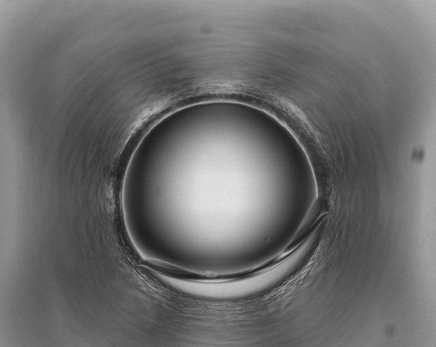 X0000096171218200801251143