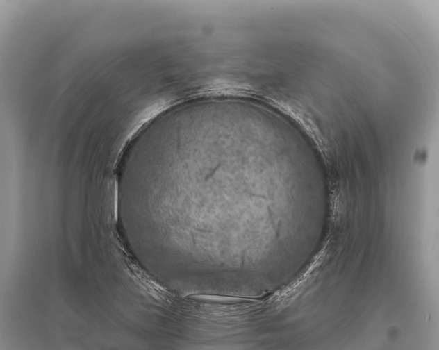 X0000096171219200801251143