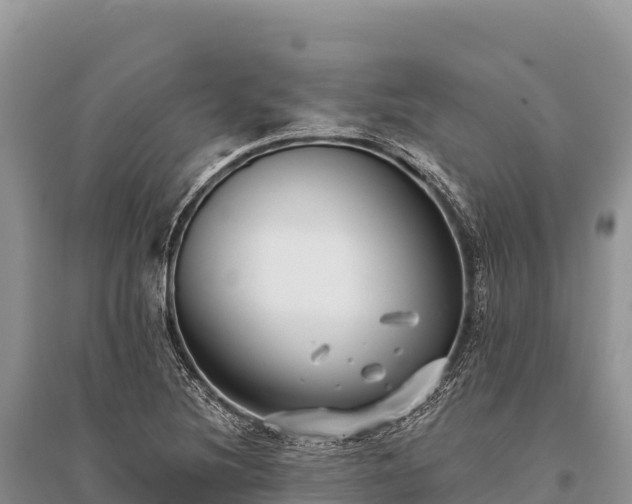 X0000096171220200801251143