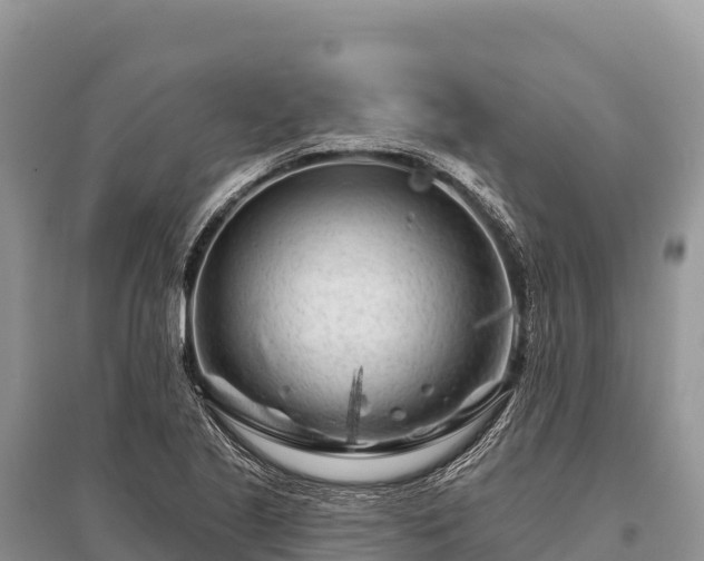 X0000096171221200801251143