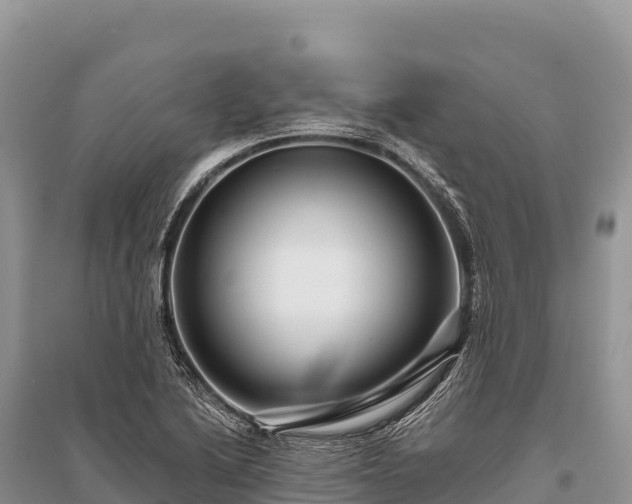 X0000096171222200801251143