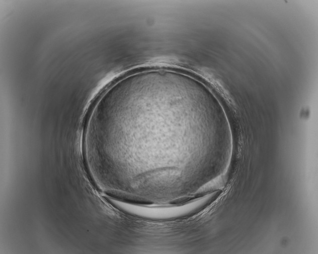 X0000096171224200801251143