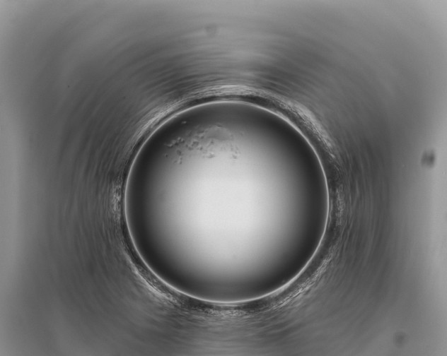 X0000096171225200801251143