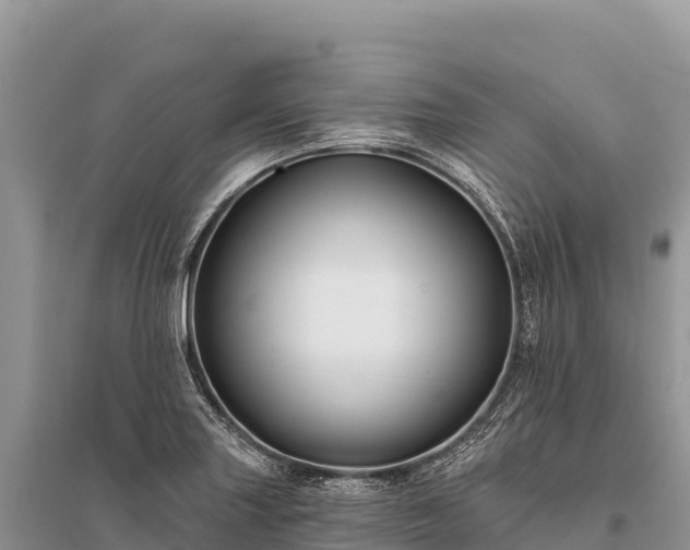 X0000096171227200801251143