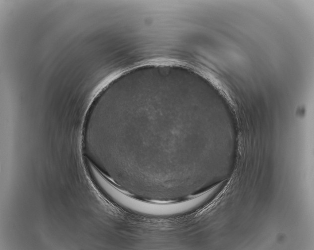 X0000096171229200801251143