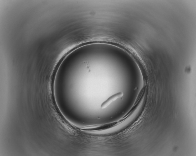 X0000096171230200801251143