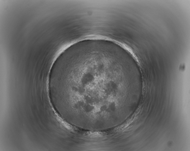 X0000096171231200801251143