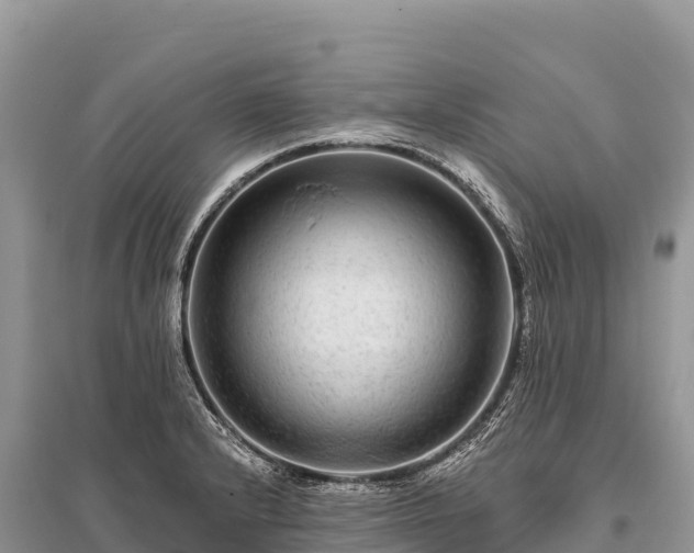 X0000096171232200801251143