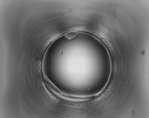 X0000096171233200801251143