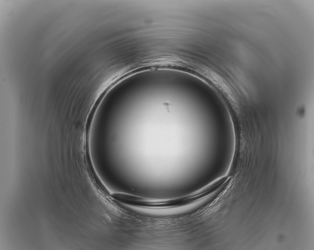 X0000096171234200801251143