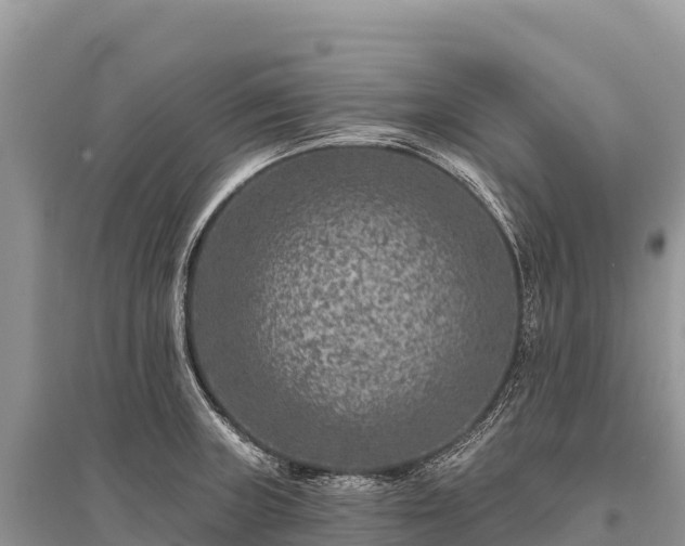 X0000096171235200801251143