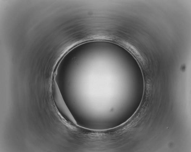 X0000096171236200801251143