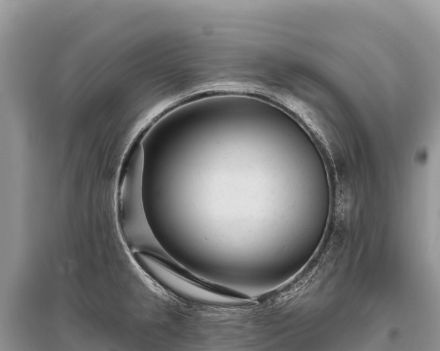 X0000096171237200801251143