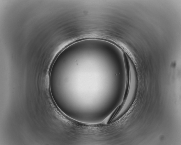 X0000096171238200801251143