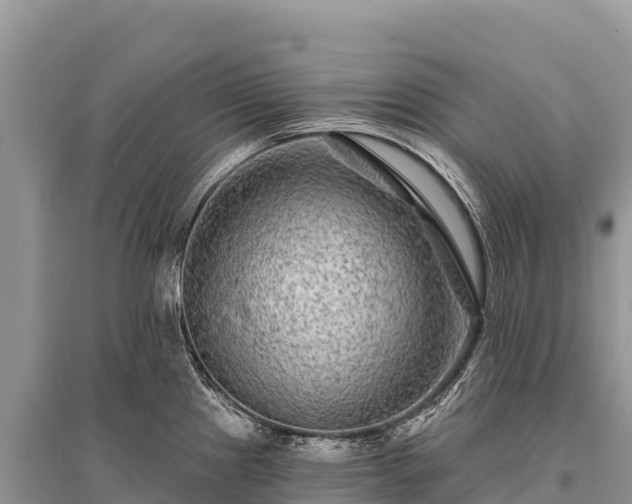 X0000096171241200801251143